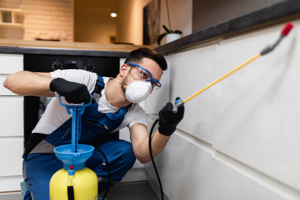 Best Affordable Pest Control Services  in New Egypt, NJ