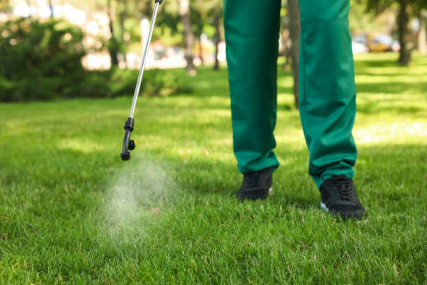 Best Pest Removal Services  in New Egypt, NJ