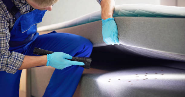 Best Flea Control Services  in New Egypt, NJ