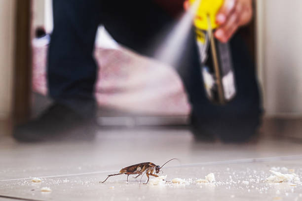 New Egypt, NJ Pest Control Pros